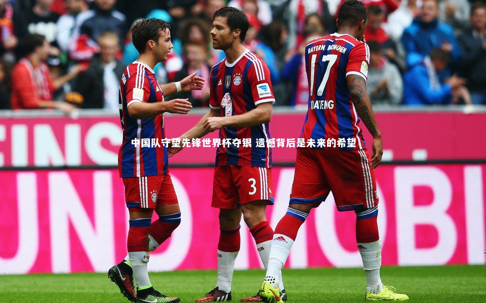 中国队守望先锋世界杯夺银 遗憾背后是未来的希望